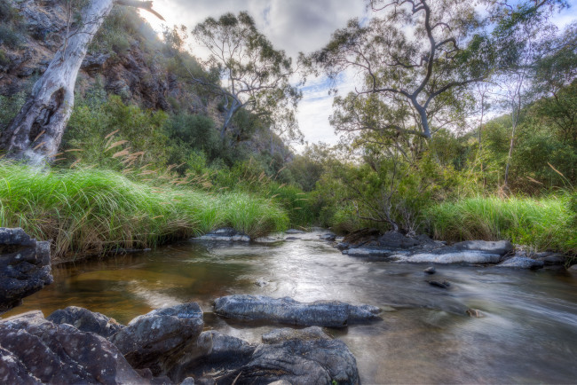 Обои картинки фото природа, реки, озера, река, лес, горы