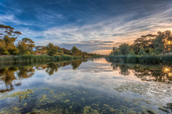 Обои картинки фото природа, реки, озера, река, лес, рассвет