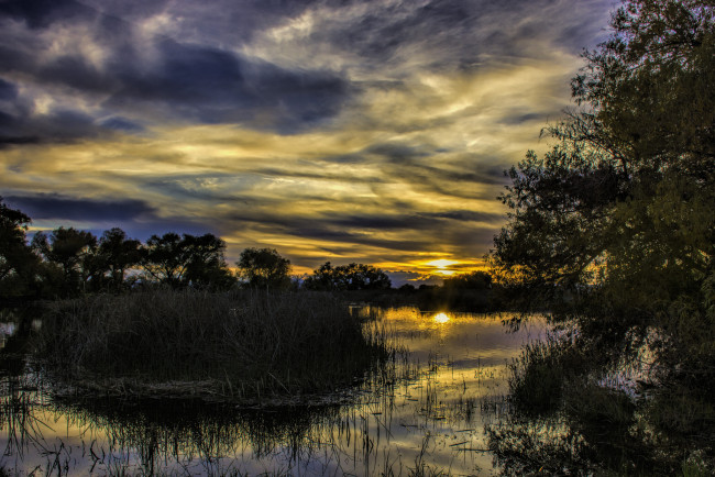 Обои картинки фото природа, восходы, закаты, река, лес, вечер