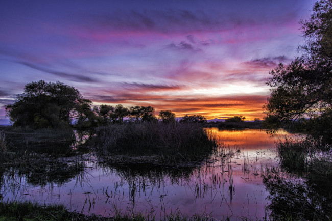 Обои картинки фото природа, восходы, закаты, река, лес, вечер