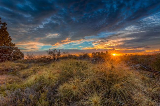 Обои картинки фото природа, восходы, закаты, заря, поле, горизонт