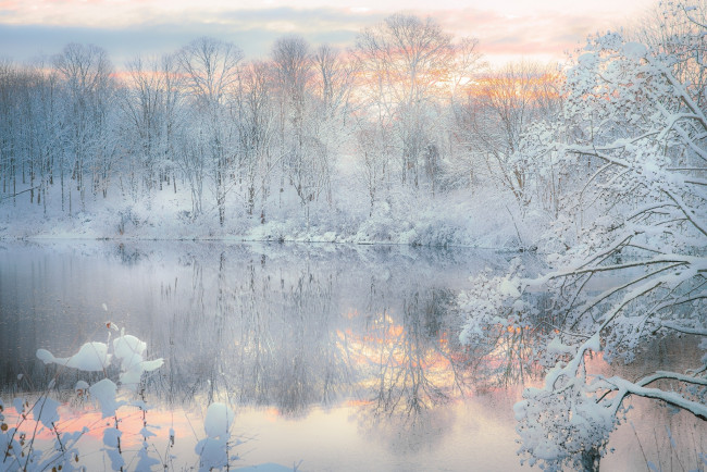 Обои картинки фото природа, зима, отражение, озеро, вечер, снег, лес