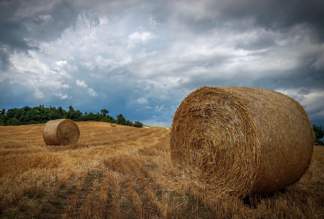 Обои картинки фото природа, поля, тучи, стога, поле
