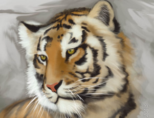 Картинка рисованное животные +тигры тигр