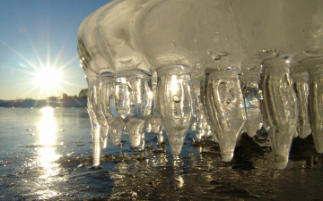 Картинка природа макро вода солнце весна сосульки