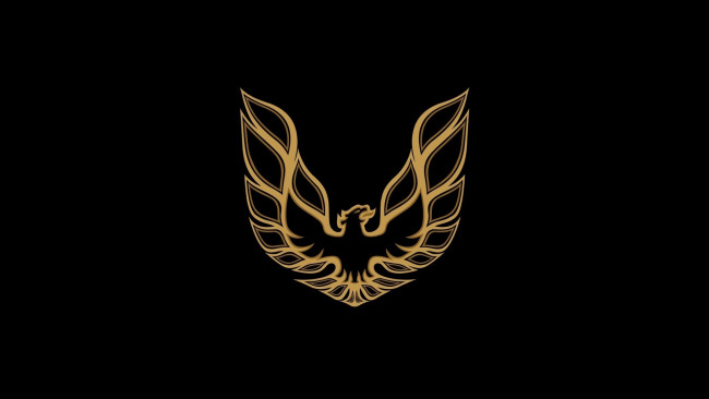 Обои картинки фото бренды, авто-мото,  -  unknown, pontiac, фон, логотип