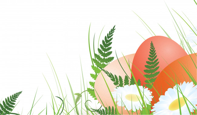 Обои картинки фото векторная графика, еда , food, яйца