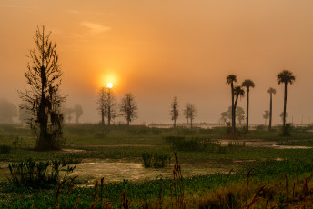 Картинка природа пейзажи простор