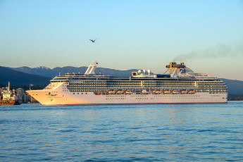 Картинка coral+princess корабли лайнеры круиз лайнер