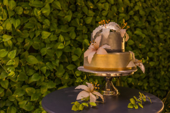 Картинка еда торты снедь