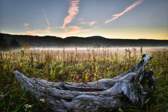 Картинка природа реки озера простор