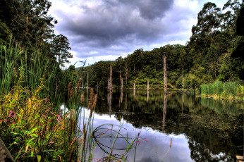 Картинка природа реки озера простор