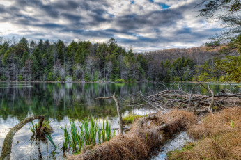 Картинка природа реки озера простор