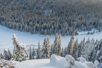 Картинка природа зима простор