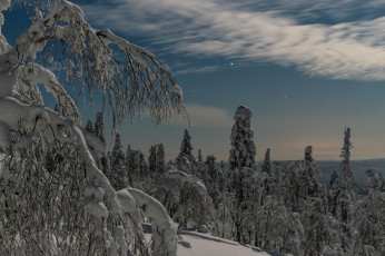 Картинка природа зима простор