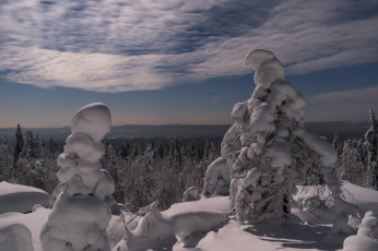 Картинка природа зима простор