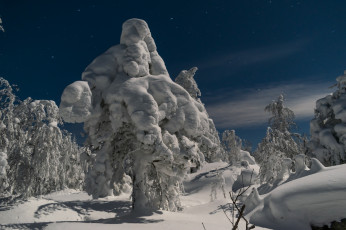 Картинка природа зима простор