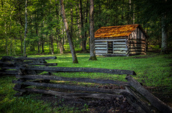 Картинка природа лес простор