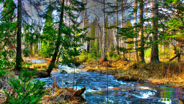 Картинка календари природа водоем деревья 2018