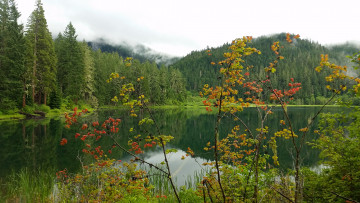 Картинка природа реки озера простор