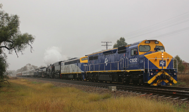 Обои картинки фото техника, поезда, состав, локомотив