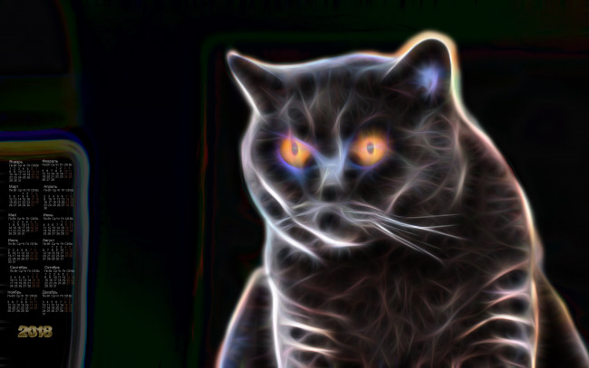 Обои картинки фото календари, компьютерный дизайн, взгляд, кошка, 2018
