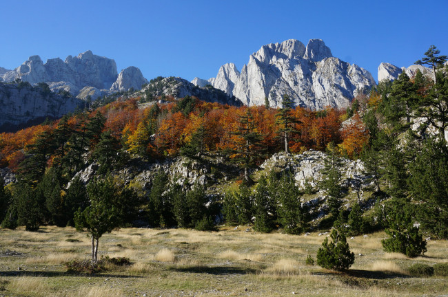 Обои картинки фото природа, горы, простор