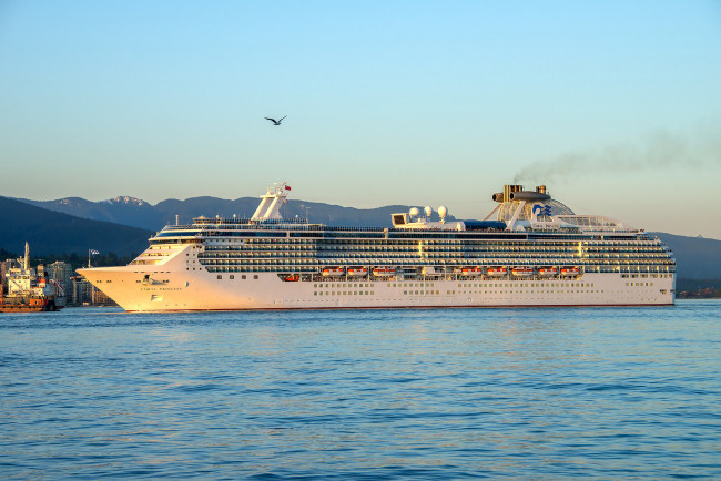 Обои картинки фото coral princess, корабли, лайнеры, круиз, лайнер