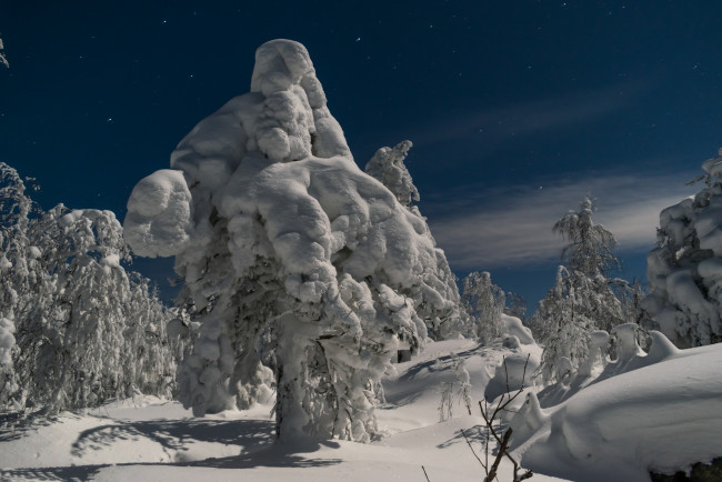 Обои картинки фото природа, зима, простор