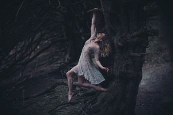 Картинка девушки -+блондинки +светловолосые блондинка платье деревья