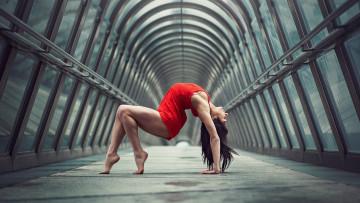 Картинка девушки -+брюнетки +шатенки julie marques