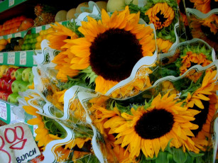 Картинка цветы подсолнухи