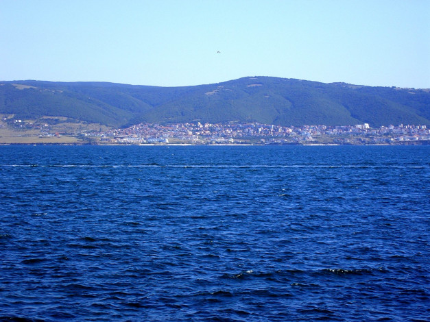 Обои картинки фото 