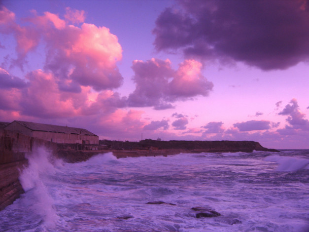 Обои картинки фото 