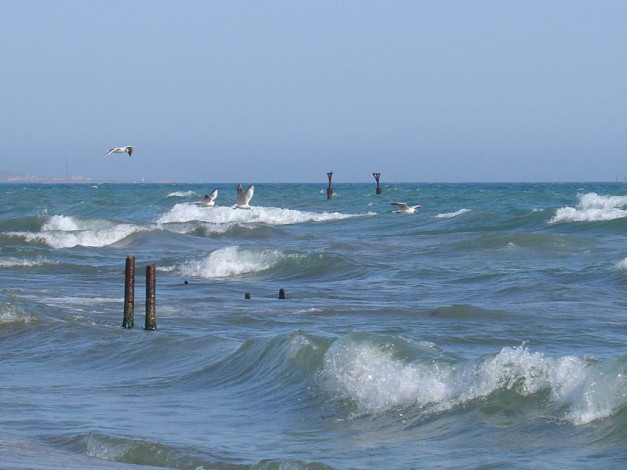 Обои картинки фото 