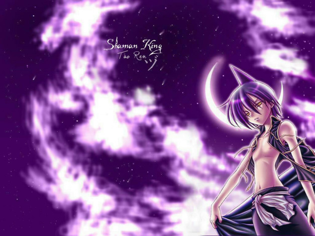Обои картинки фото shaman, king, аниме