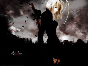 Картинка аниме tenjou tenge