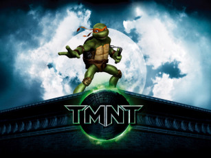 Картинка мультфильмы tmnt