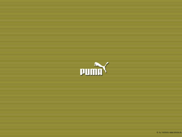 Обои картинки фото бренды, puma