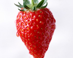 Картинка еда клубника земляника