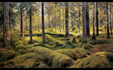 Картинка лесное кладбище рисованные живопись