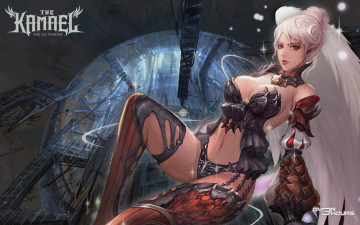 Картинка lineage ii видео игры