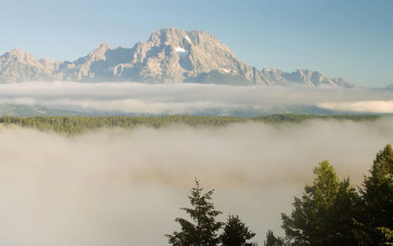 Картинка природа