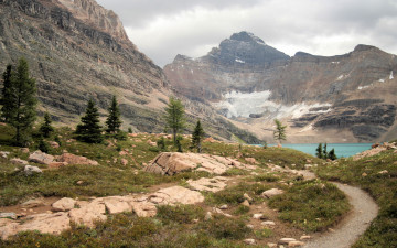 Картинка природа