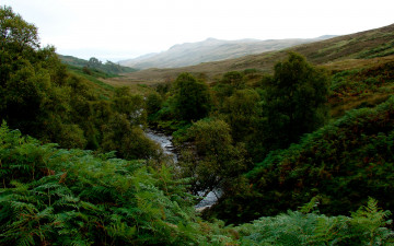 Картинка природа