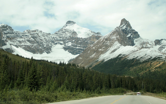 Обои картинки фото природа