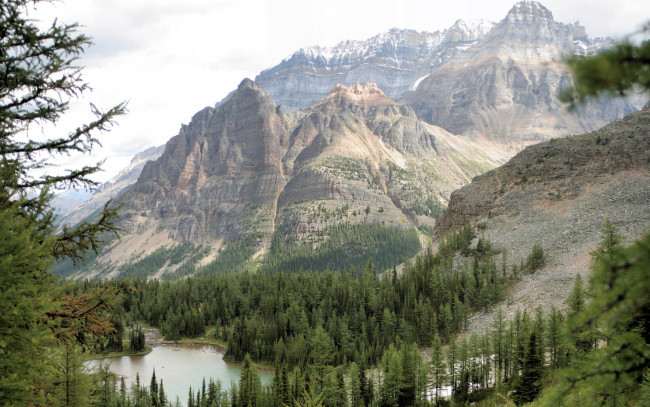 Обои картинки фото природа