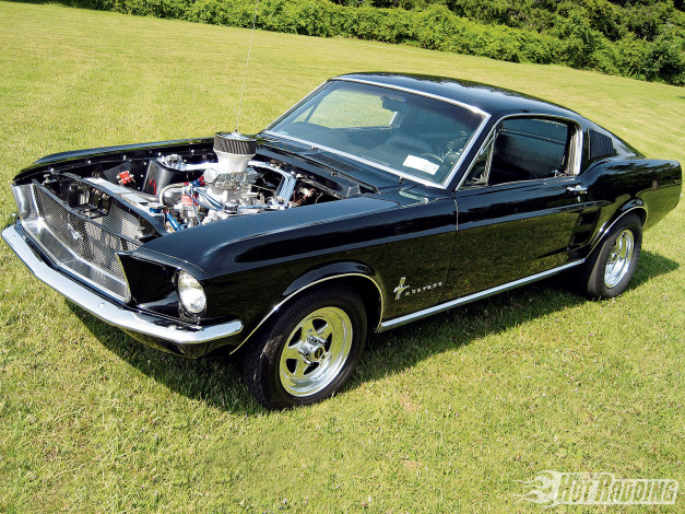 Обои картинки фото автомобили, mustang