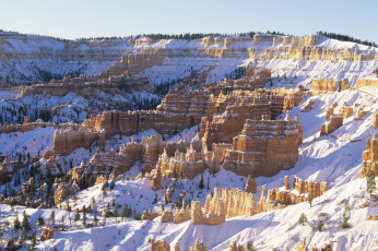 Картинка природа горы деревья снег