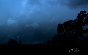 Картинка природа деревья вечер тучи